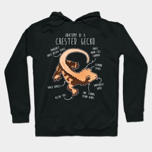 Crested Gecko Lizard Reptile Anatomy Hoodie